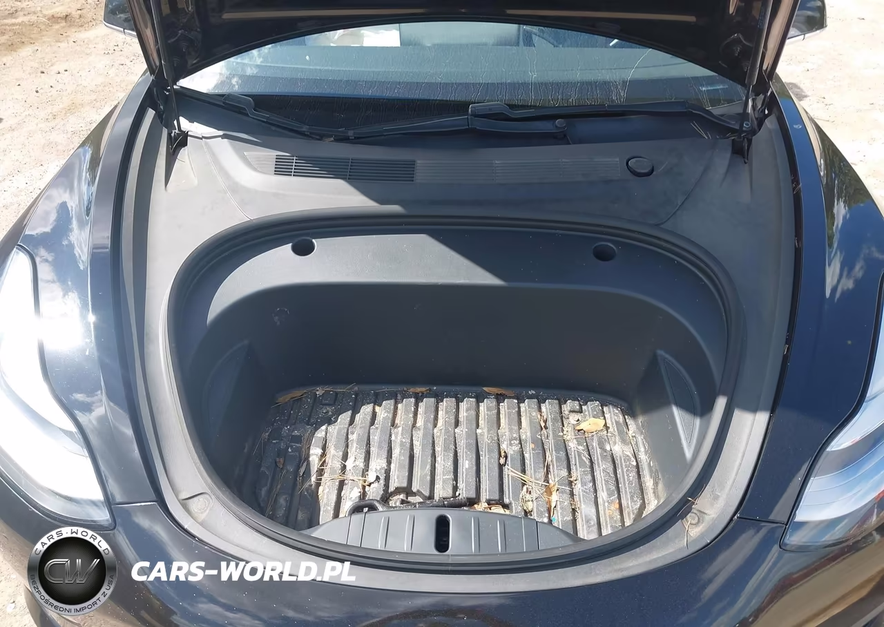 2020 Tesla Model 3 Standard Range Plus Rear-Wheel Drive-Standard Range Rear-Wheel Drive VIN:5YJ3E1EAXLF804737 - 10