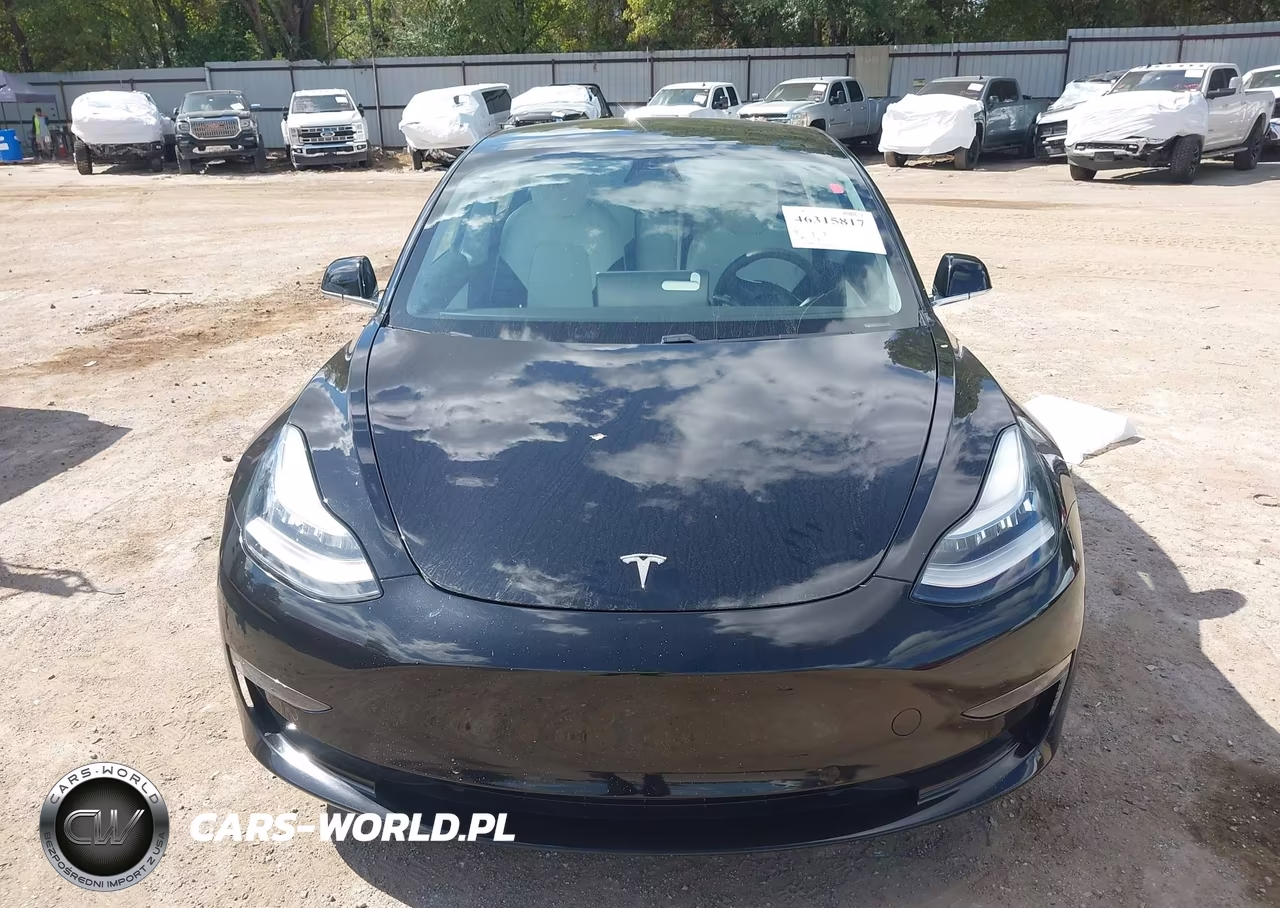 2020 Tesla Model 3 Standard Range Plus Rear-Wheel Drive-Standard Range Rear-Wheel Drive VIN:5YJ3E1EAXLF804737 - 13