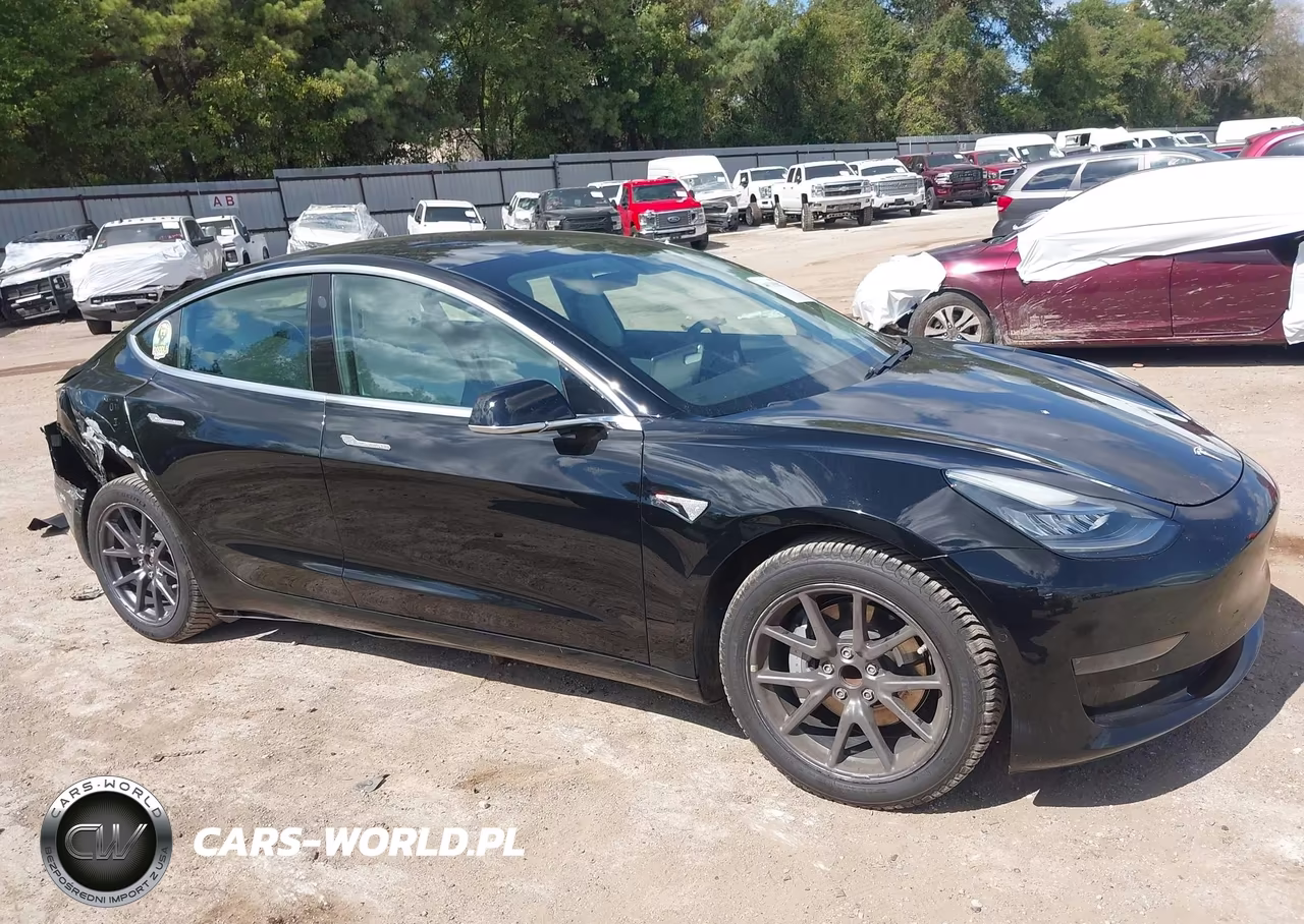 2020 Tesla Model 3 Standard Range Plus Rear-Wheel Drive-Standard Range Rear-Wheel Drive VIN:5YJ3E1EAXLF804737 - 14