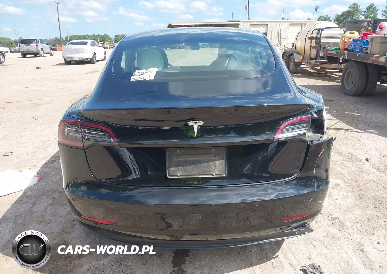 2020 Tesla Model 3 Standard Range Plus Rear-Wheel Drive-Standard Range Rear-Wheel Drive VIN:5YJ3E1EAXLF804737 - 17