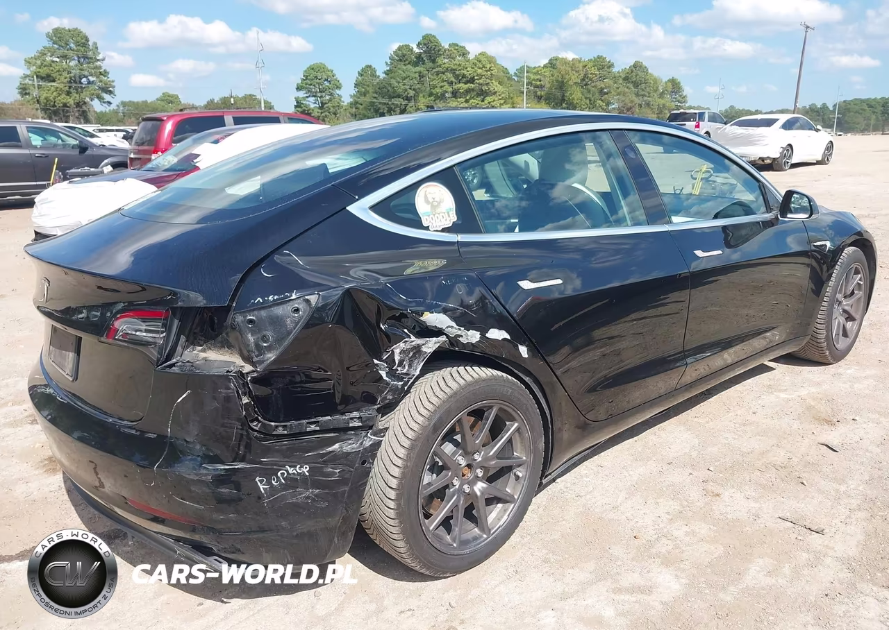 2020 Tesla Model 3 Standard Range Plus Rear-Wheel Drive-Standard Range Rear-Wheel Drive VIN:5YJ3E1EAXLF804737 - 4