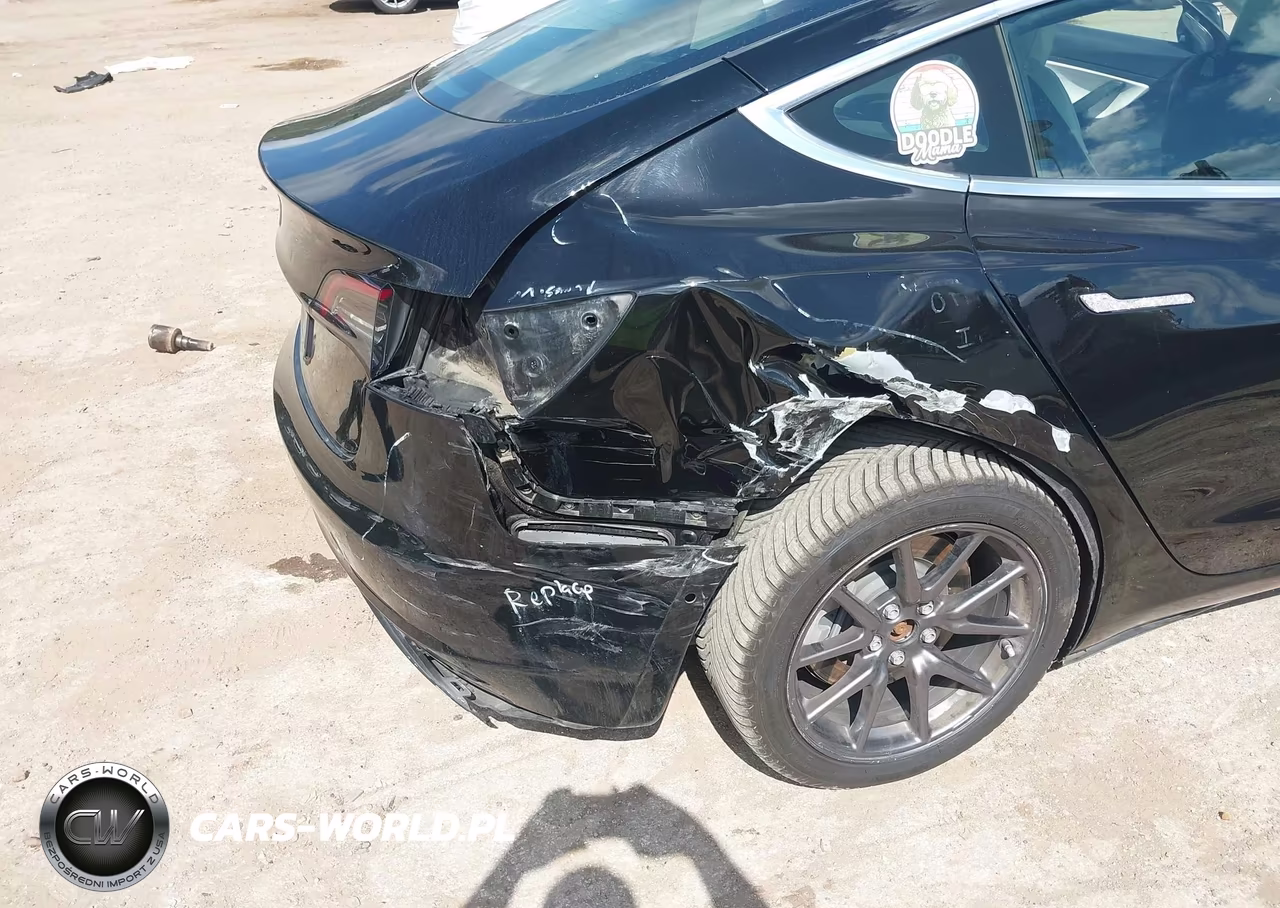 2020 Tesla Model 3 Standard Range Plus Rear-Wheel Drive-Standard Range Rear-Wheel Drive VIN:5YJ3E1EAXLF804737 - 6