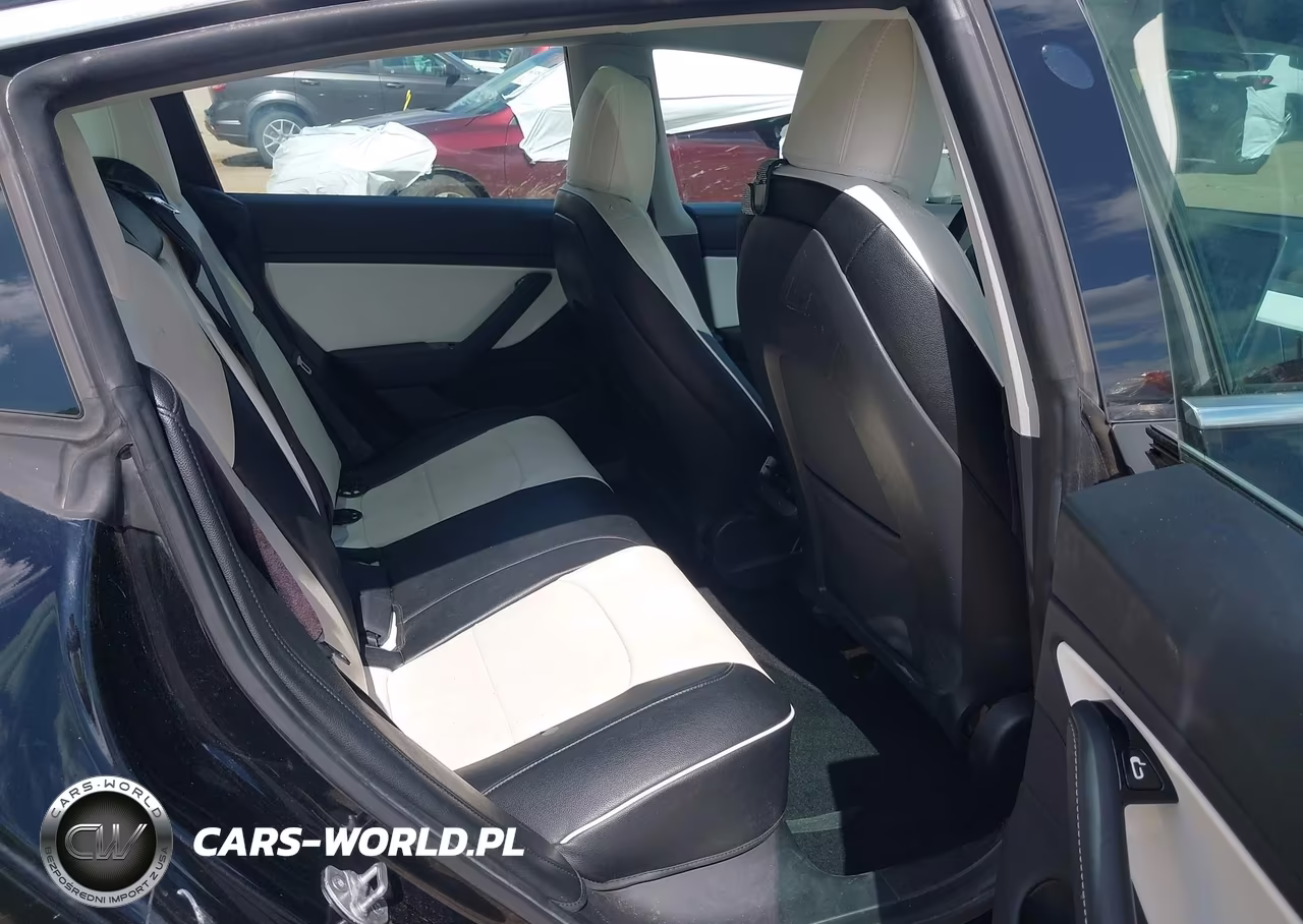 2020 Tesla Model 3 Standard Range Plus Rear-Wheel Drive-Standard Range Rear-Wheel Drive VIN:5YJ3E1EAXLF804737 - 8