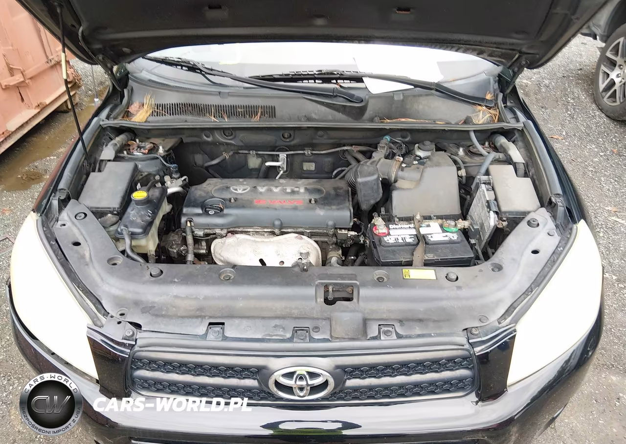 2006 Toyota Rav4 VIN:JTMZD33V665024786 - 10