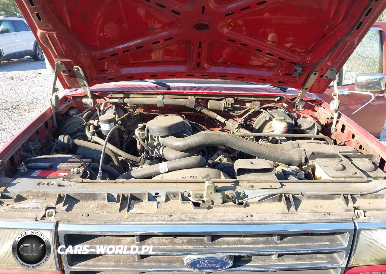 1990 Ford F150 VIN:1FTDF15N3LLA12642 - 10