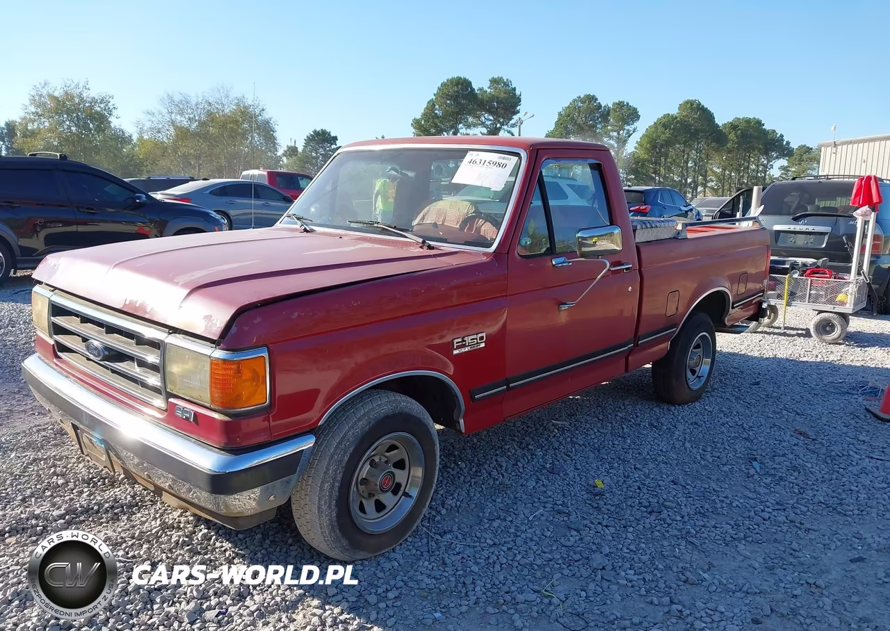 1990 Ford F150 VIN:1FTDF15N3LLA12642 - 2