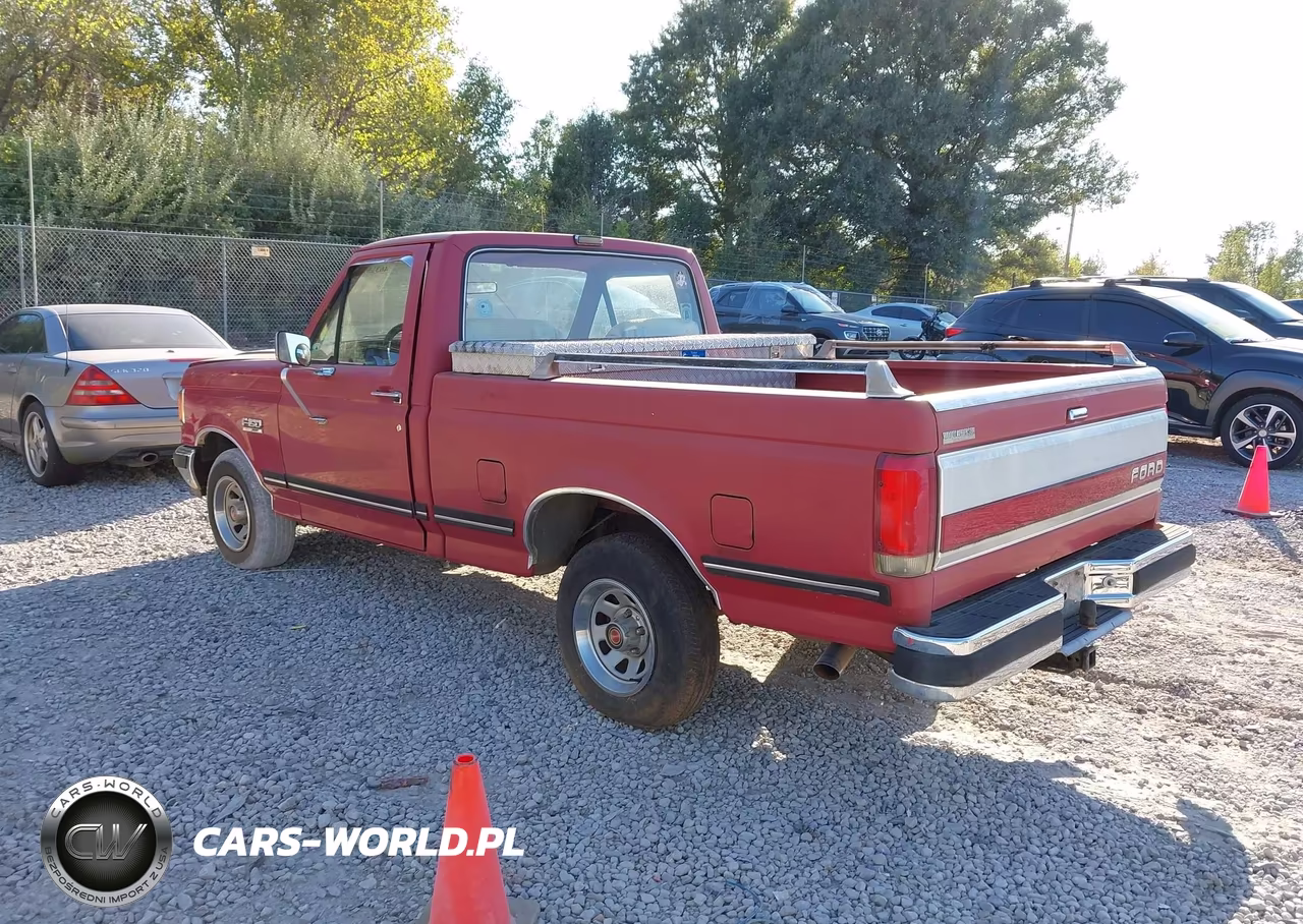 1990 Ford F150 VIN:1FTDF15N3LLA12642 - 3