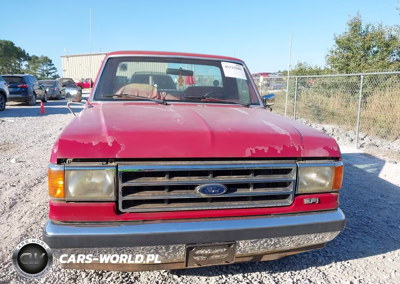 1990 Ford F150 VIN:1FTDF15N3LLA12642 - 6