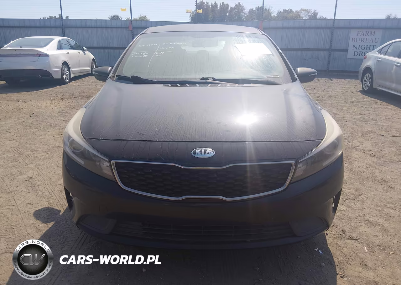 2018 Kia Forte Lx VIN:KNAFK5A89J5773900 - 12