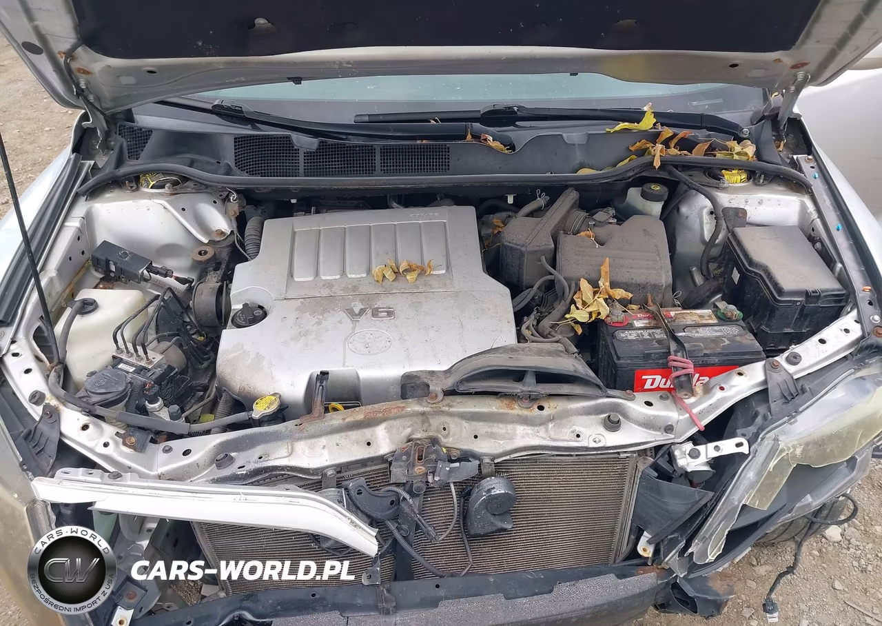 2010 Toyota Venza Base V6 VIN:4T3BK3BB8AU035921 - 10