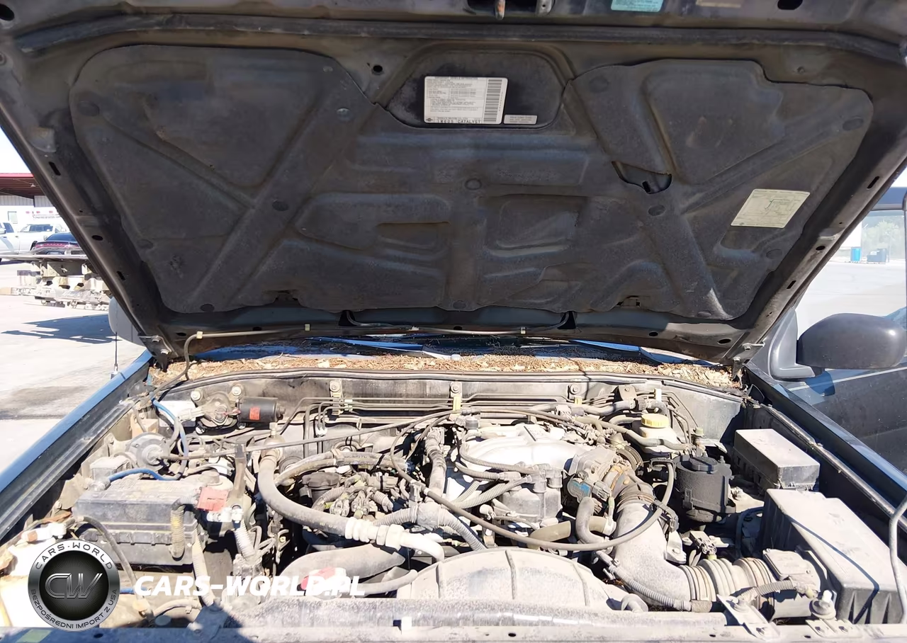 1999 Nissan Pathfinder Le-Se-Xe VIN:JN8AR05S9XW315136 - 10