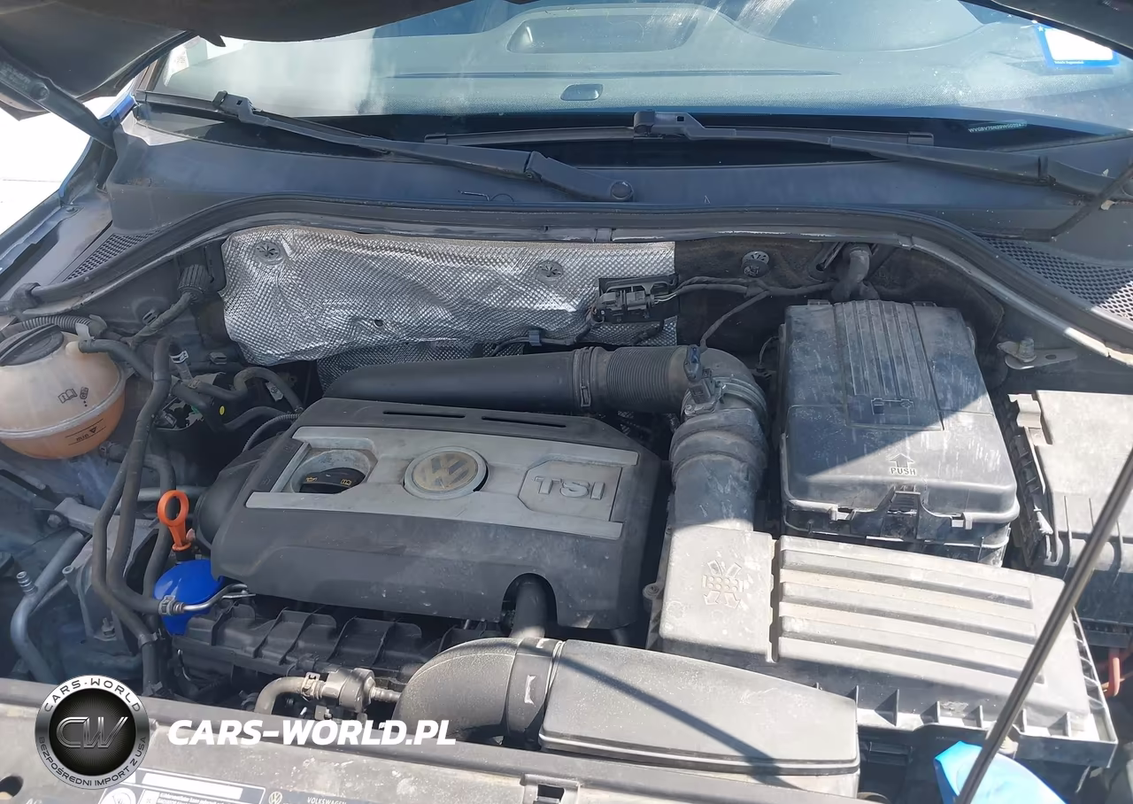 2009 Volkswagen Tiguan Se-Sel VIN:WVGBV75N39W000247 - 10