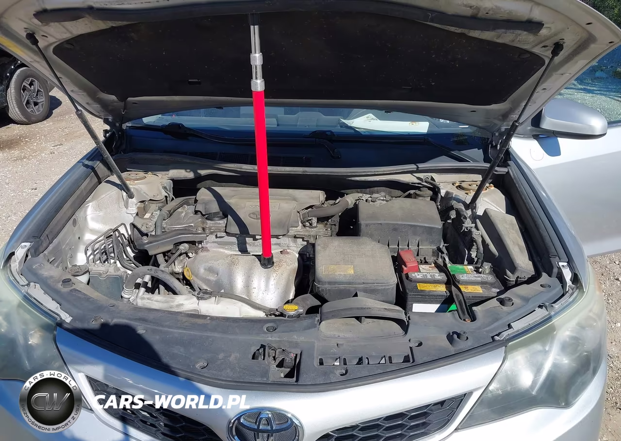 2014 Toyota Camry Se VIN:4T1BF1FK8EU419893 - 10