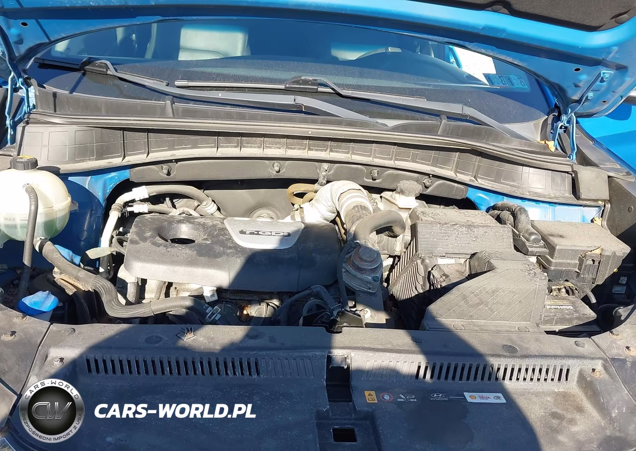 2017 Hyundai Tucson Limited VIN:KM8J3CA2XHU314574 - 10