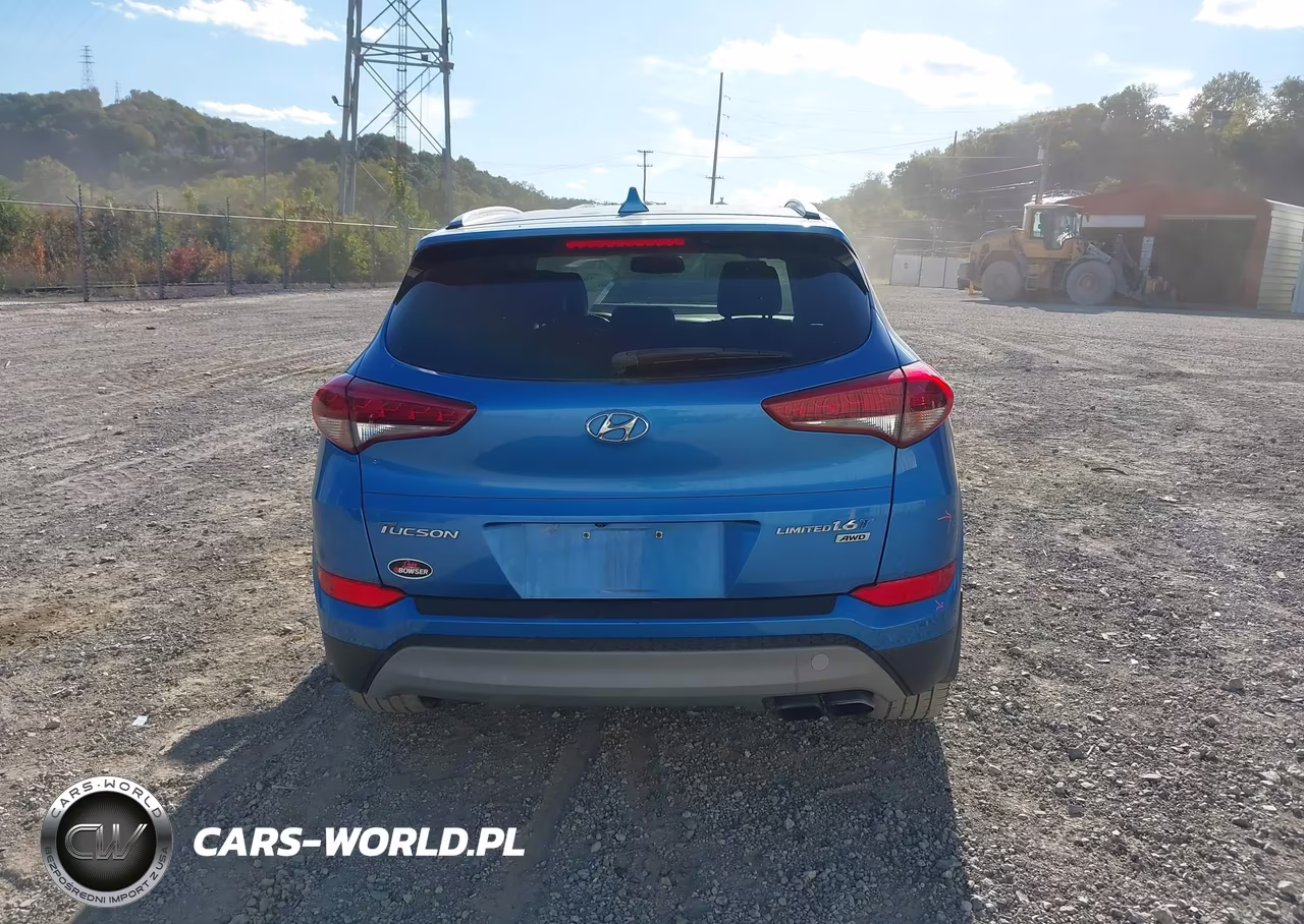 2017 Hyundai Tucson Limited VIN:KM8J3CA2XHU314574 - 16