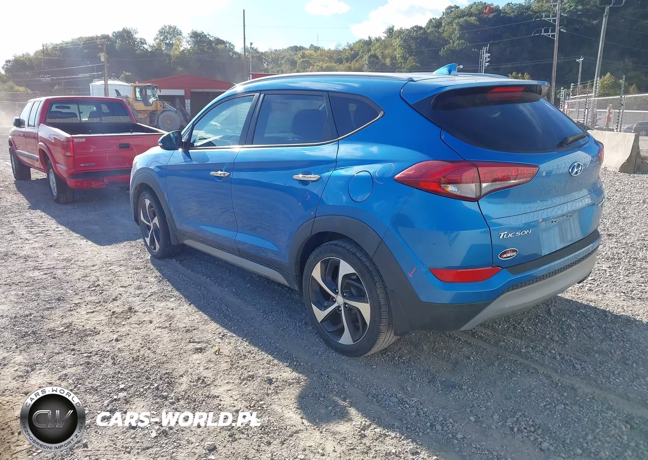 2017 Hyundai Tucson Limited VIN:KM8J3CA2XHU314574 - 3