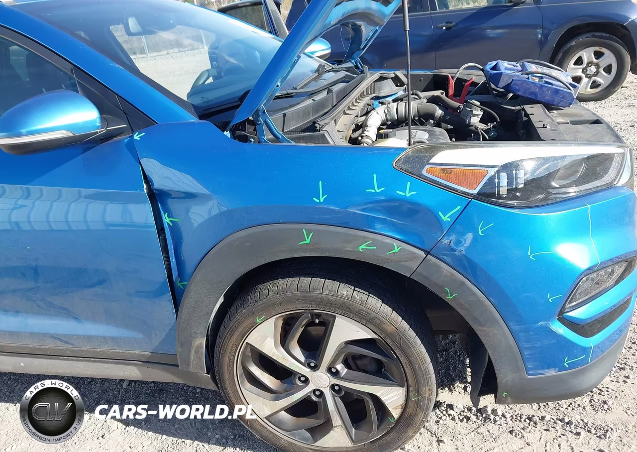 2017 Hyundai Tucson Limited VIN:KM8J3CA2XHU314574 - 6