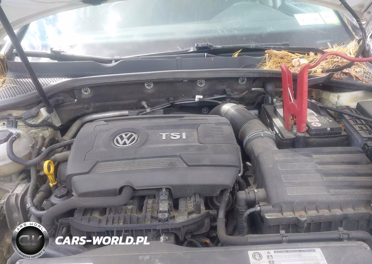 2019 Volkswagen Golf Alltrack Tsi S-Tsi Se-Tsi Sel VIN:3VWM17AU6KM520984 - 10