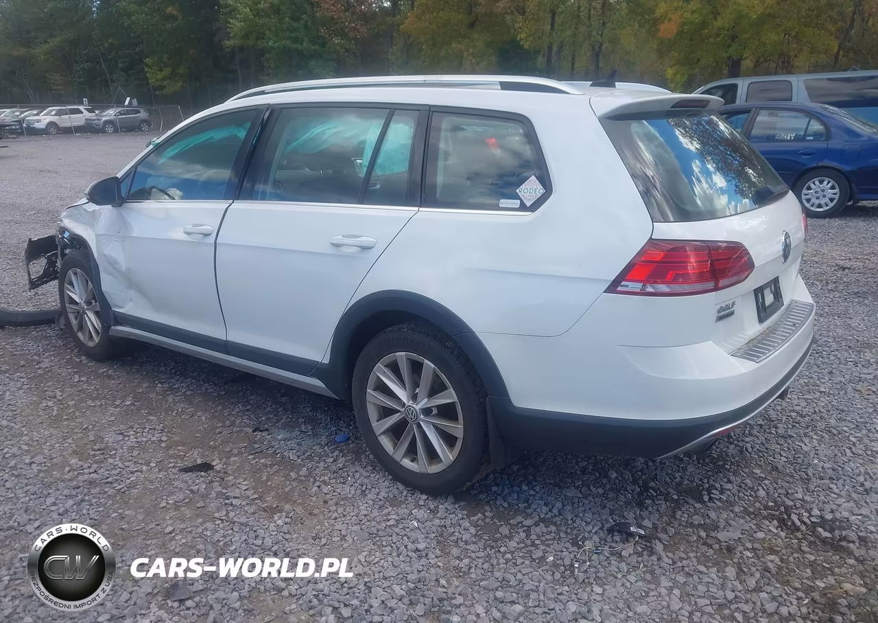 2019 Volkswagen Golf Alltrack Tsi S-Tsi Se-Tsi Sel VIN:3VWM17AU6KM520984 - 3