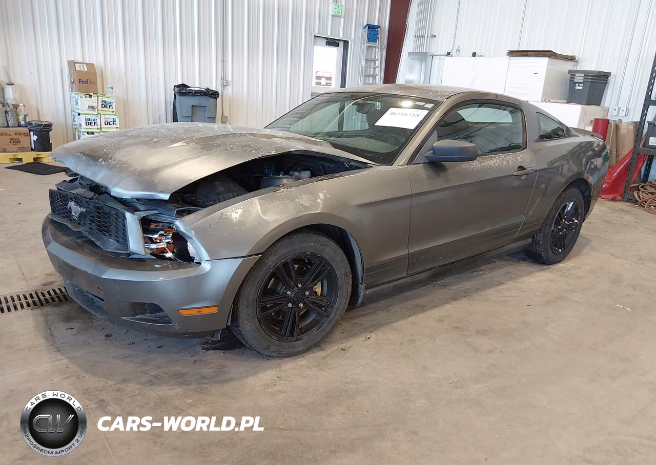 2010 Ford Mustang V6-V6 Premium VIN:1ZVBP8AN1A5134823 - 2