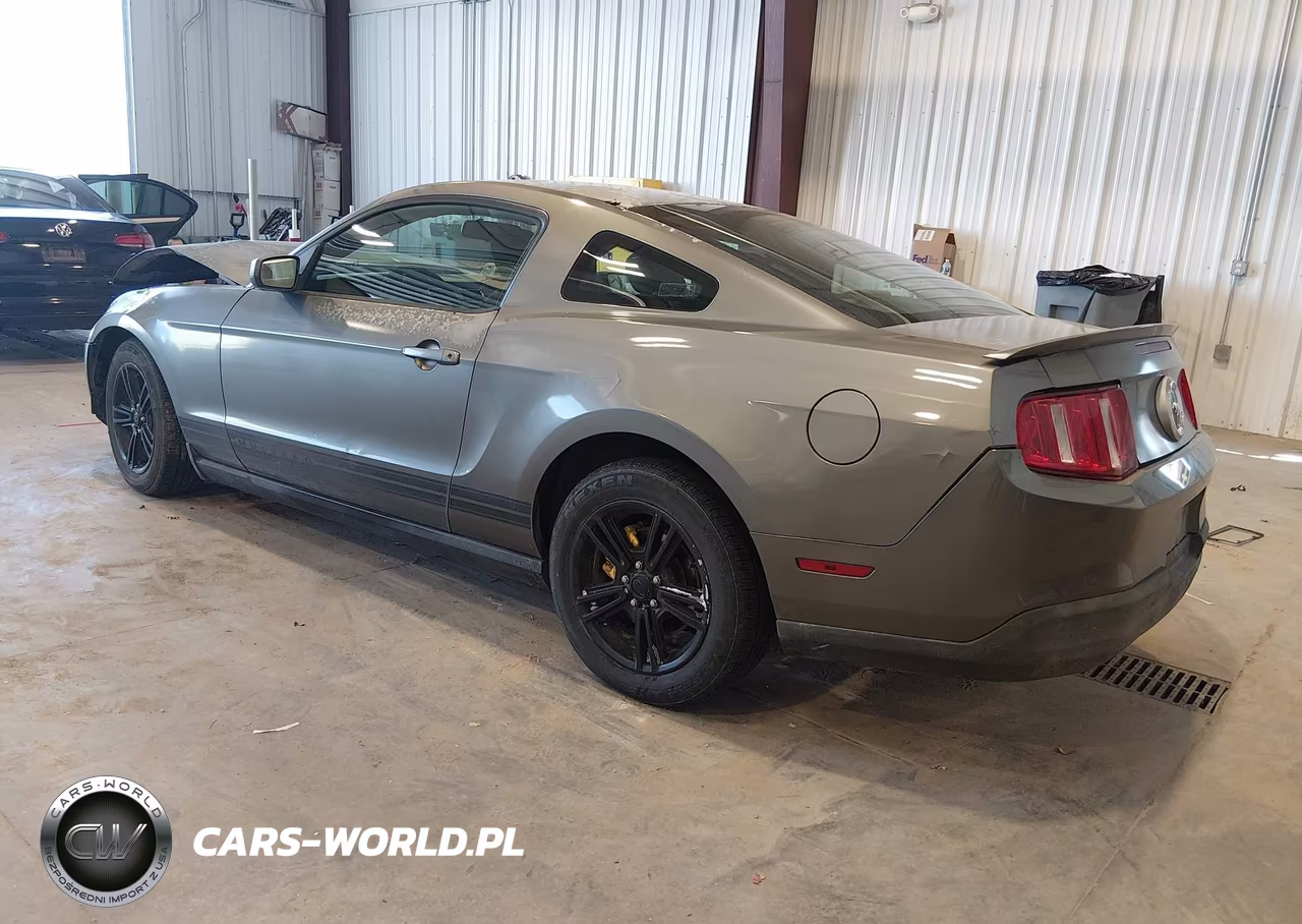 2010 Ford Mustang V6-V6 Premium VIN:1ZVBP8AN1A5134823 - 3