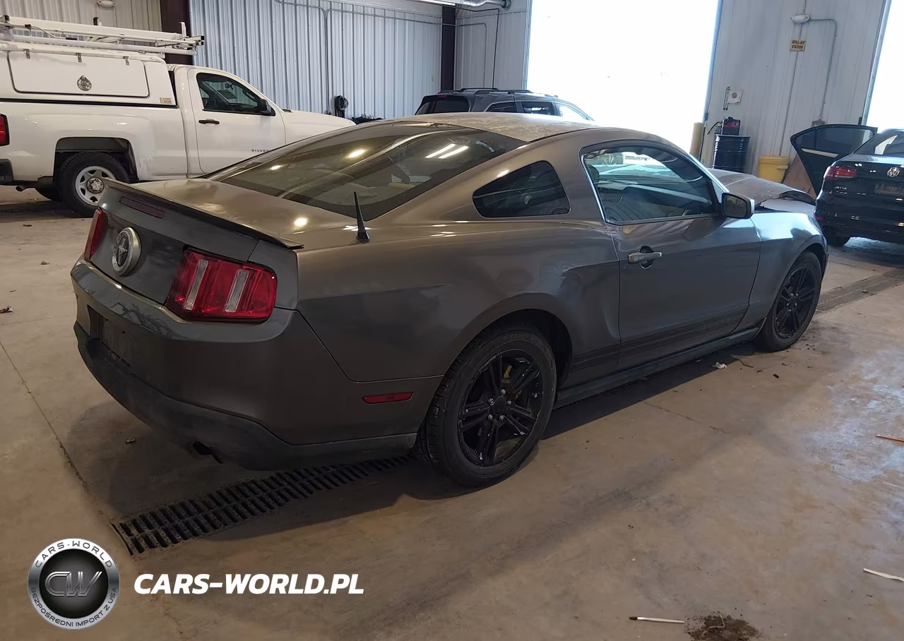 2010 Ford Mustang V6-V6 Premium VIN:1ZVBP8AN1A5134823 - 4