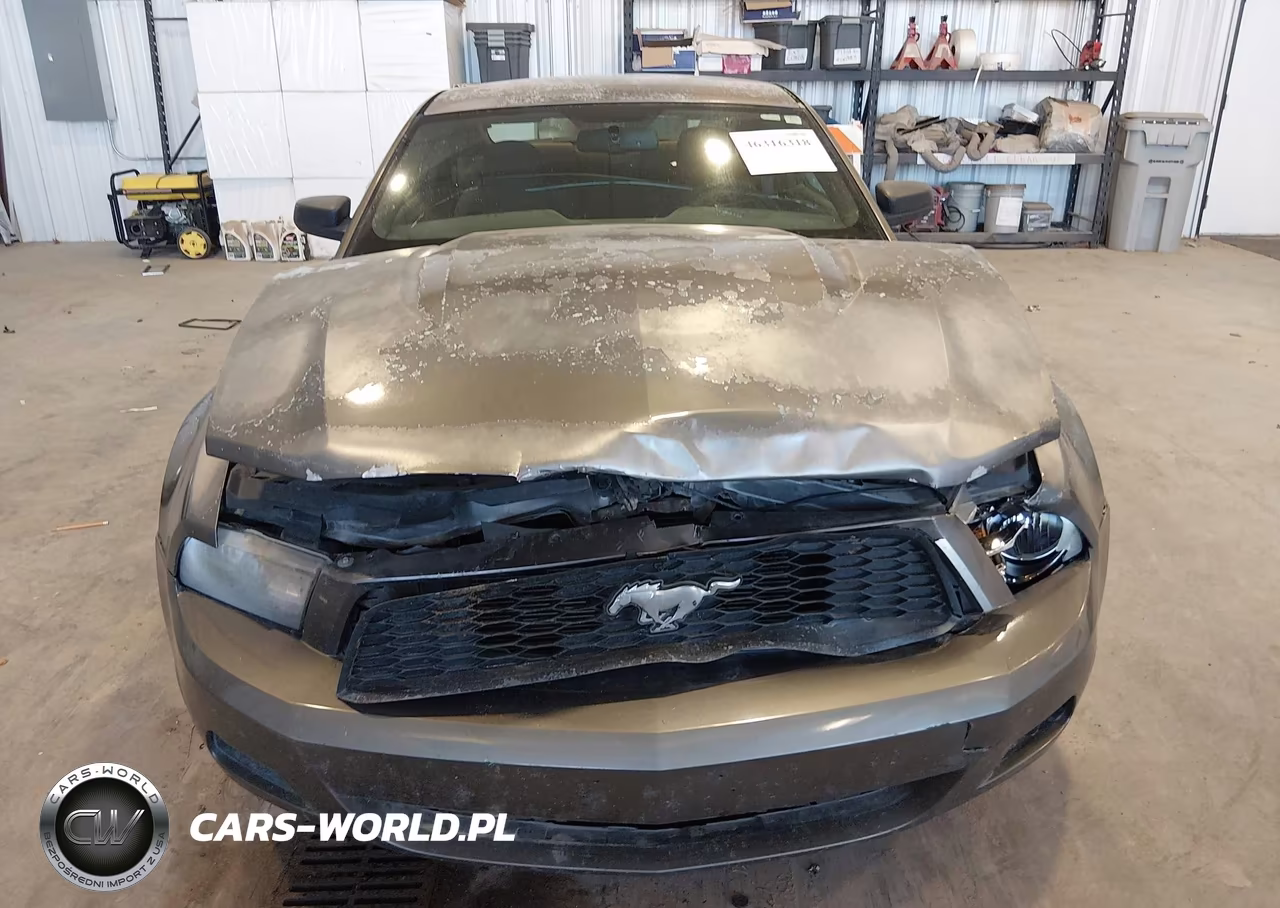 2010 Ford Mustang V6-V6 Premium VIN:1ZVBP8AN1A5134823 - 6