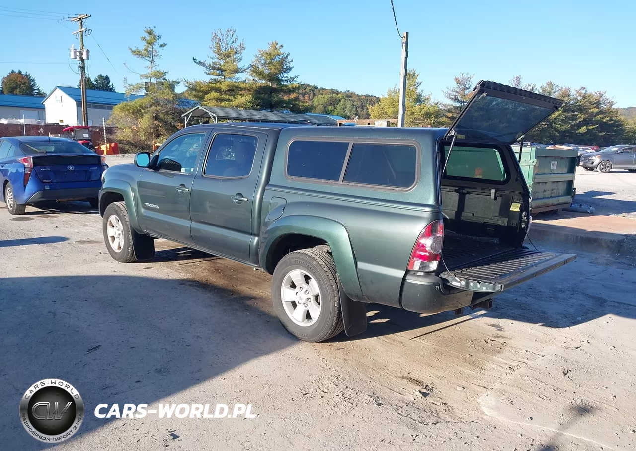2009 Toyota Tacoma Base V6 VIN:3TMLU42N89M034599 - 3