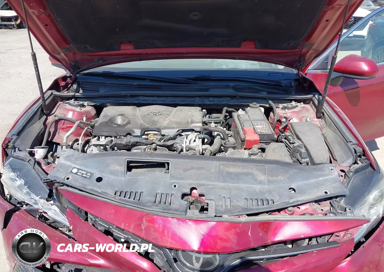 2019 Toyota Camry Le VIN:4T1B11HK1KU782818 - 10