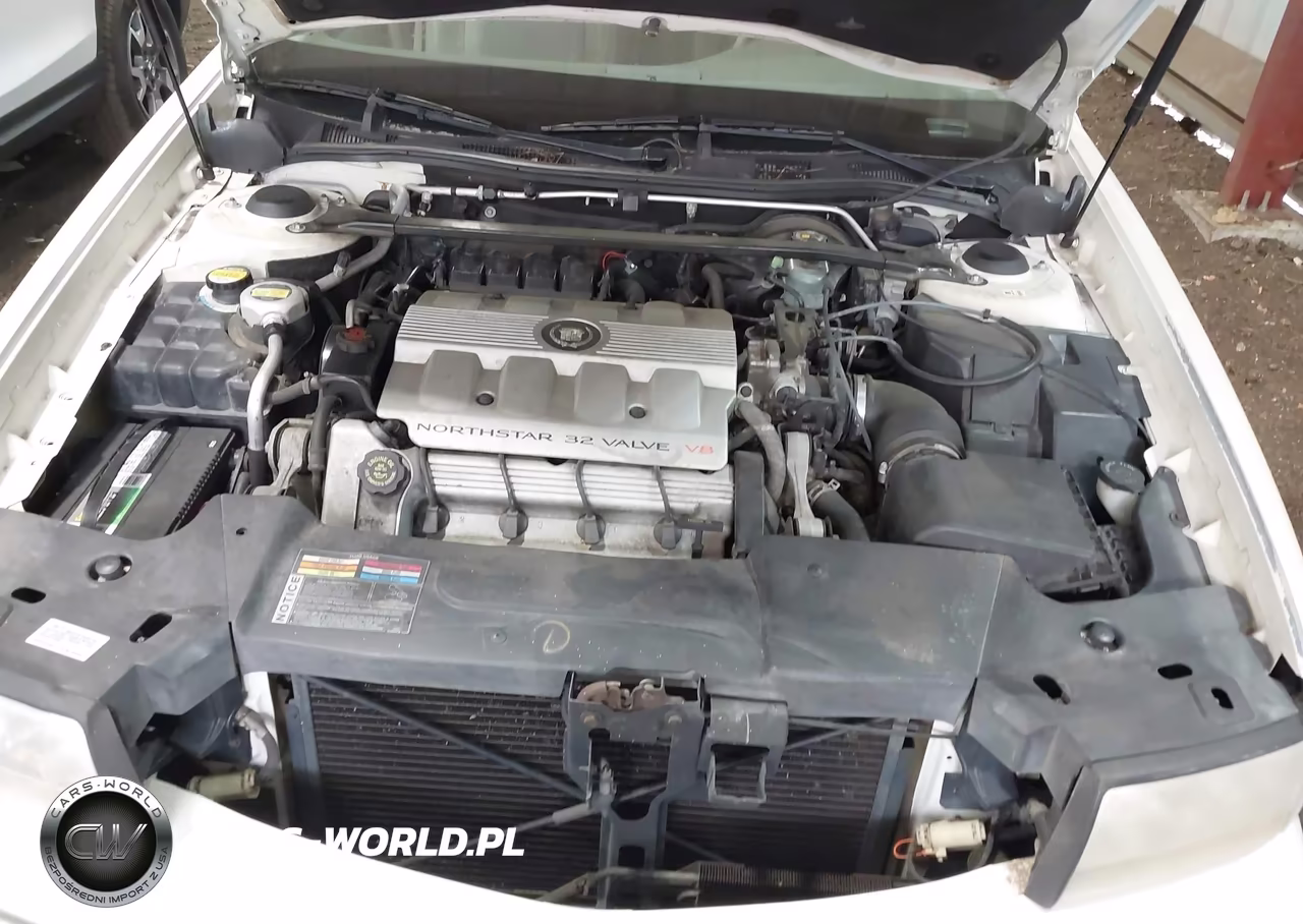 1999 Cadillac Deville Standard VIN:1G6KD54Y5XU790881 - 10