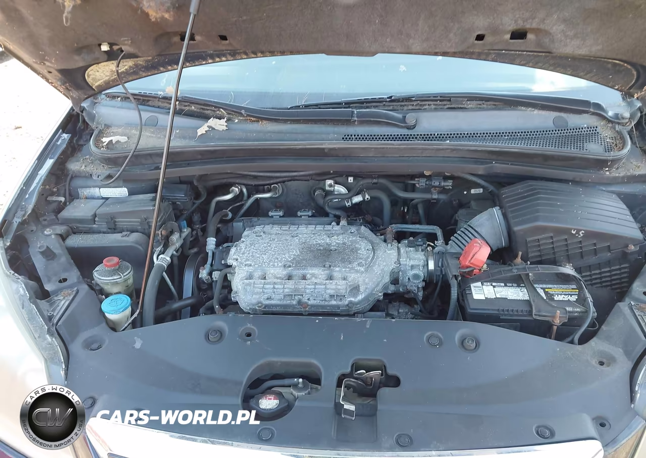 2005 Honda Odyssey Ex-L VIN:5FNRL387X5B126943 - 10