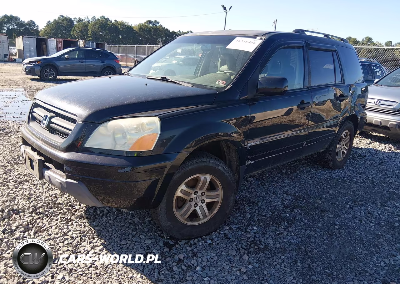 2005 Honda Pilot Ex-L VIN:5FNYF18525B005541 - 2