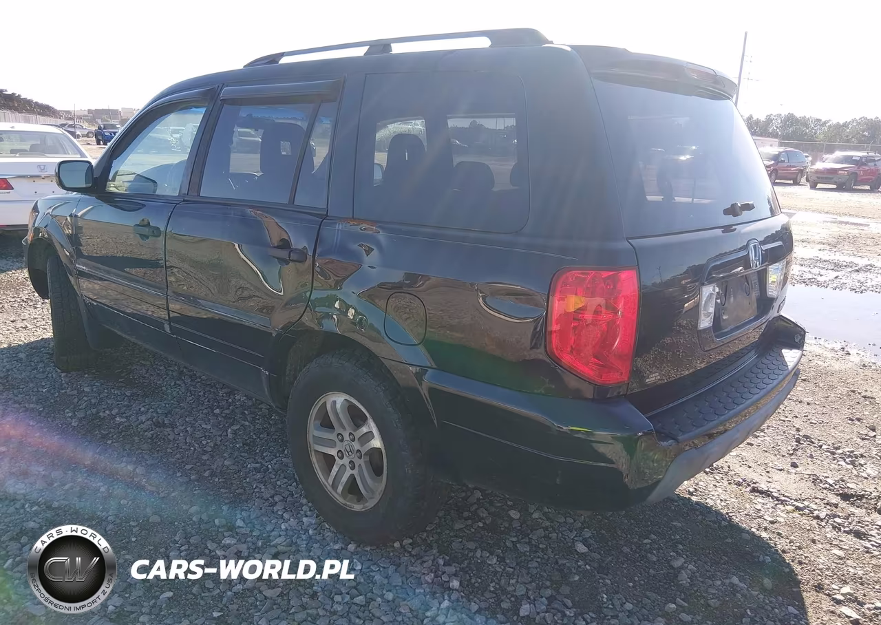 2005 Honda Pilot Ex-L VIN:5FNYF18525B005541 - 3
