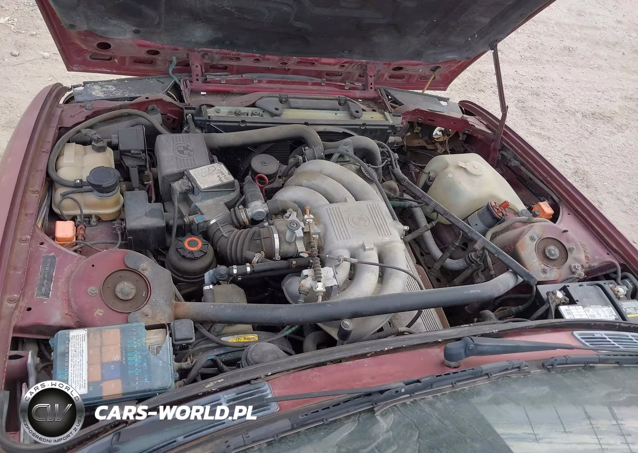 1991 BMW 325 Ic Automatic VIN:WBABB2319MEC24685 - 10