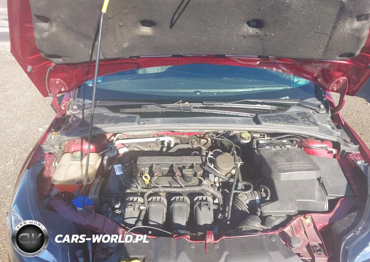 2014 Ford Focus Titanium VIN:1FADP3N24EL188770 - 10