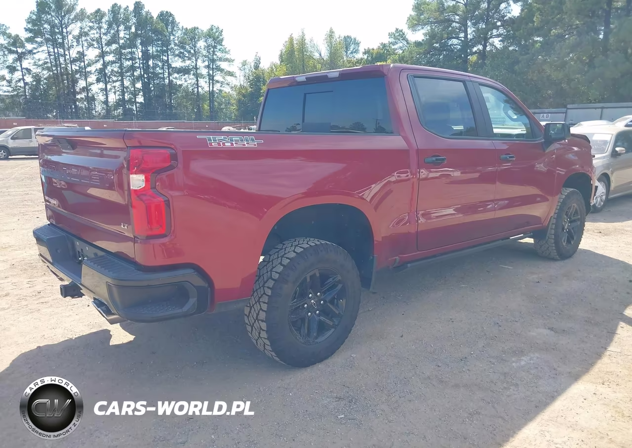 2020 Chevrolet Silverado 1500 4Wd Short Bed Lt Trail Boss VIN:3GCPYFED0LG135940 - 4