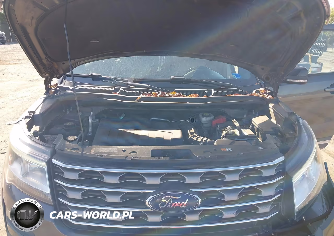 2017 Ford Explorer Xlt VIN:1FM5K8DH2HGB77047 - 10