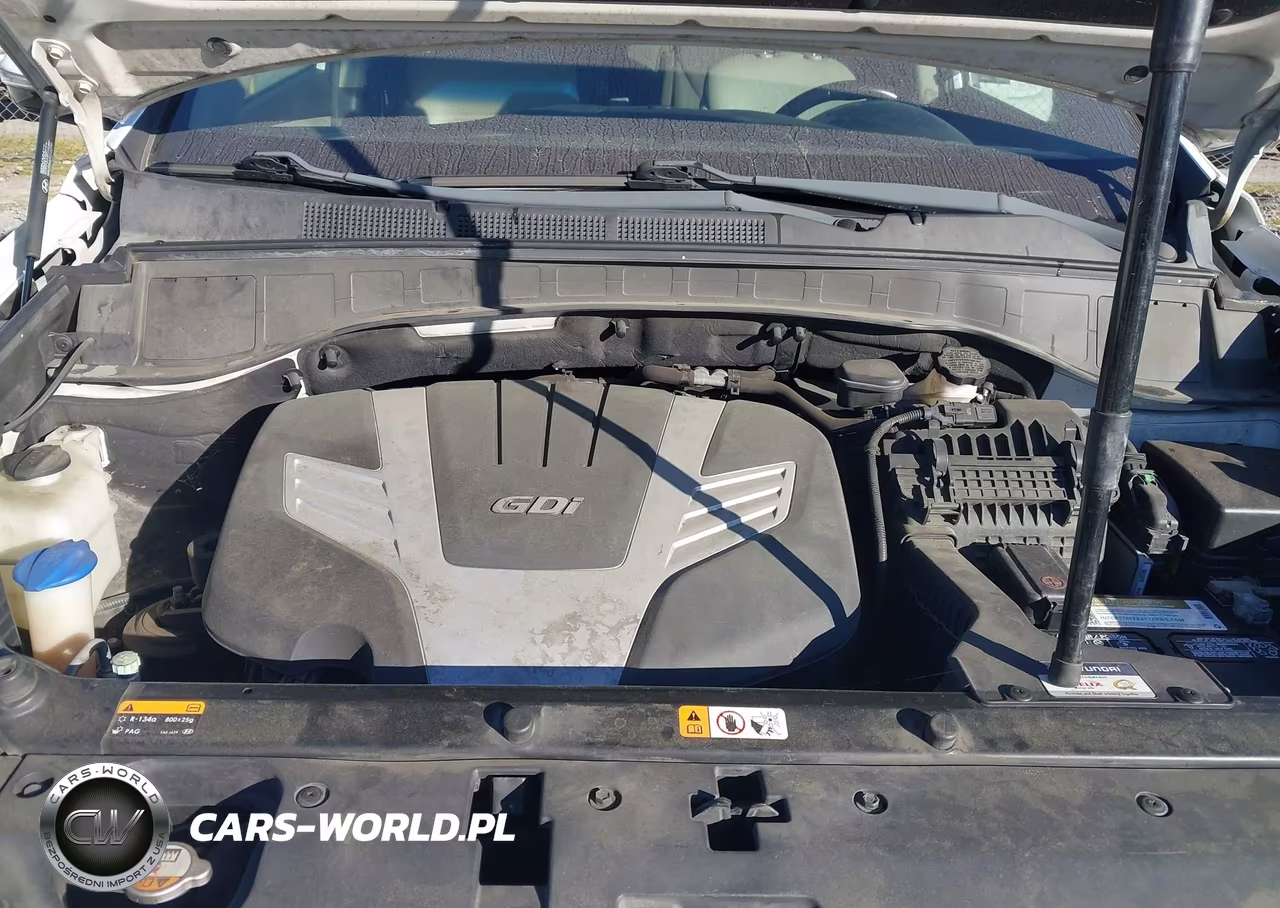 2014 Hyundai Santa Fe VIN:KM8SN4HF4EU051846 - 10