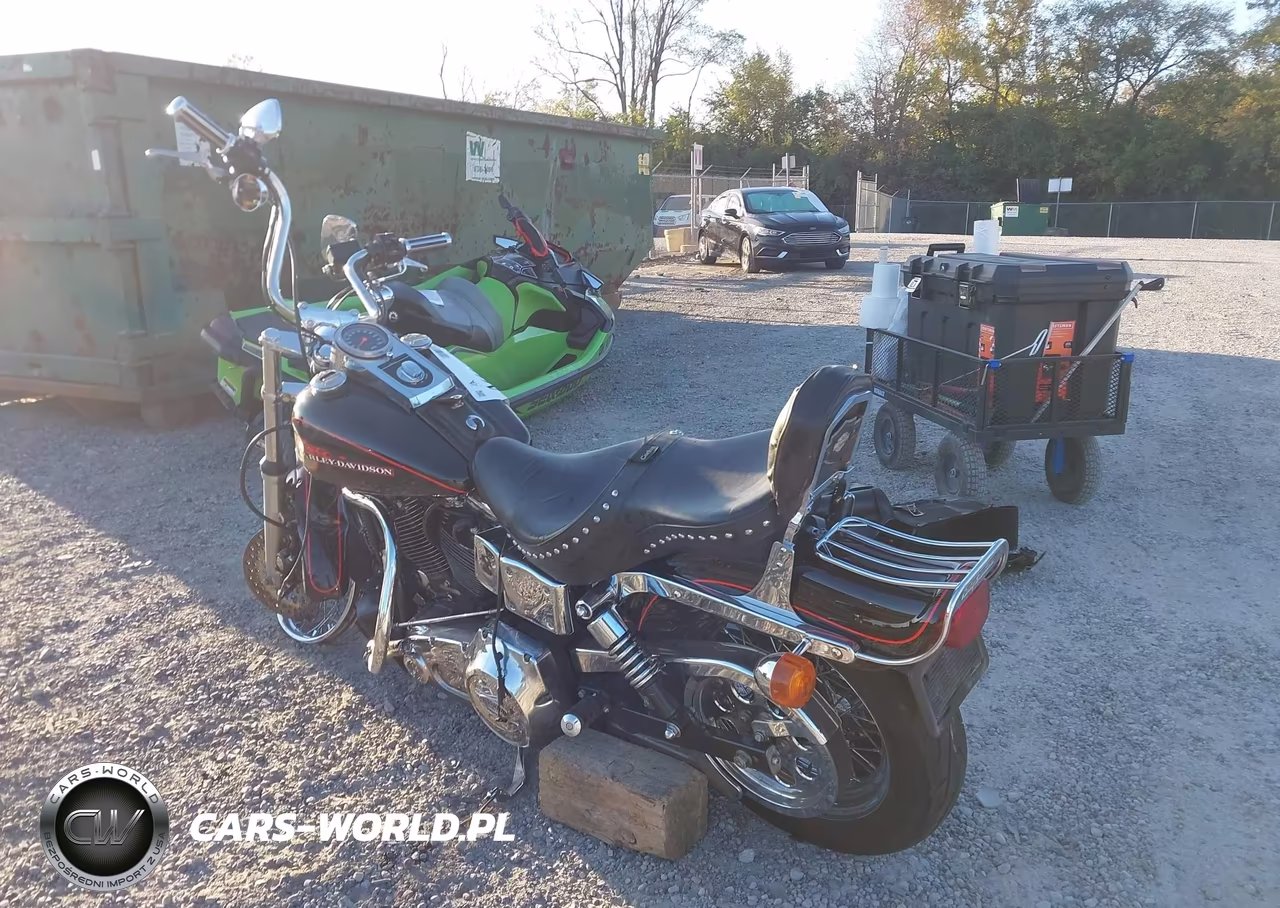 1994 Harley-Davidson Fxdwg VIN:1HD1GEL17RY311701 - 3
