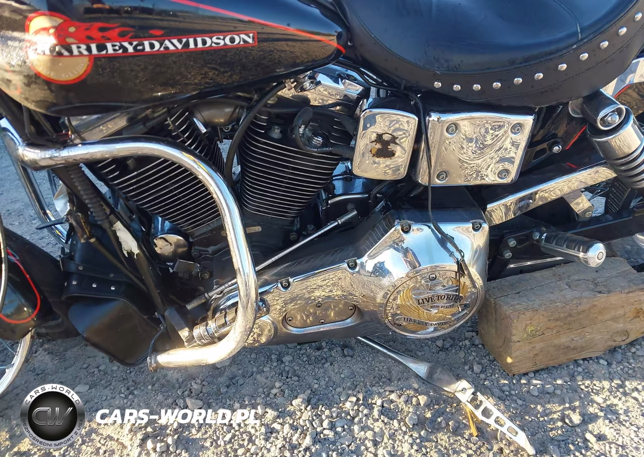 1994 Harley-Davidson Fxdwg VIN:1HD1GEL17RY311701 - 9