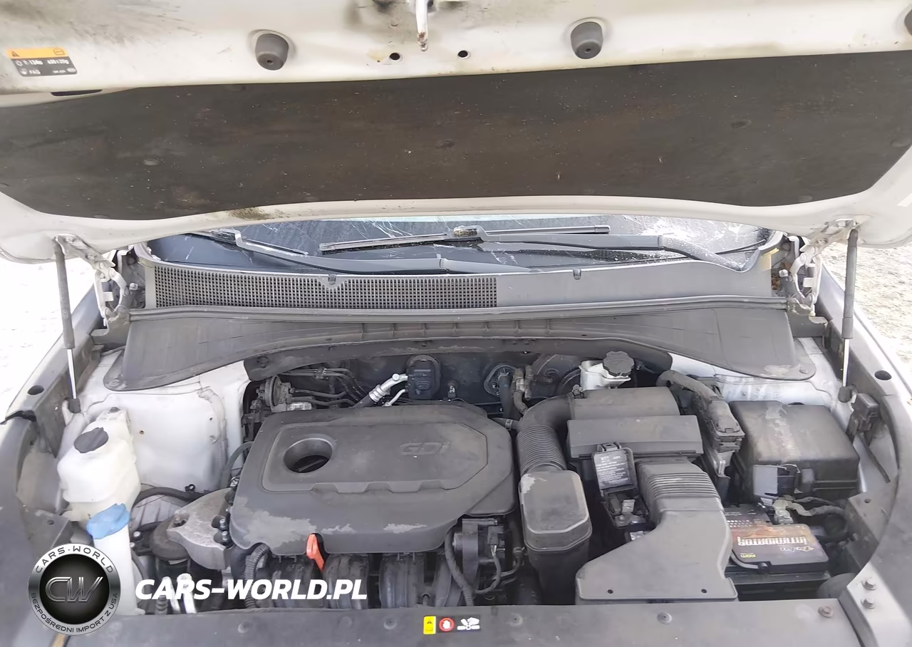 2017 Kia Sorento 2.4L Lx VIN:5XYPGDA30HG219749 - 10
