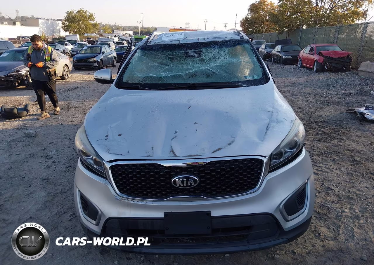 2017 Kia Sorento 2.4L Lx VIN:5XYPGDA30HG219749 - 13