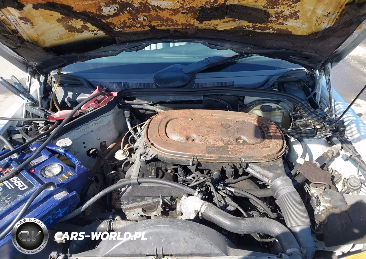 1991 Mercedes-Benz 190 E 2.3 VIN:WDBDA28D7MF739708 - 10