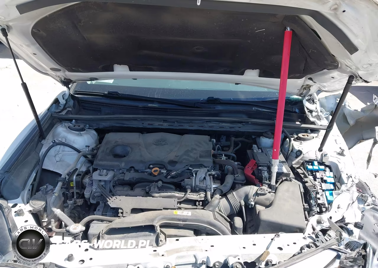 2020 Toyota Camry Le VIN:4T1C11AK1LU321196 - 10