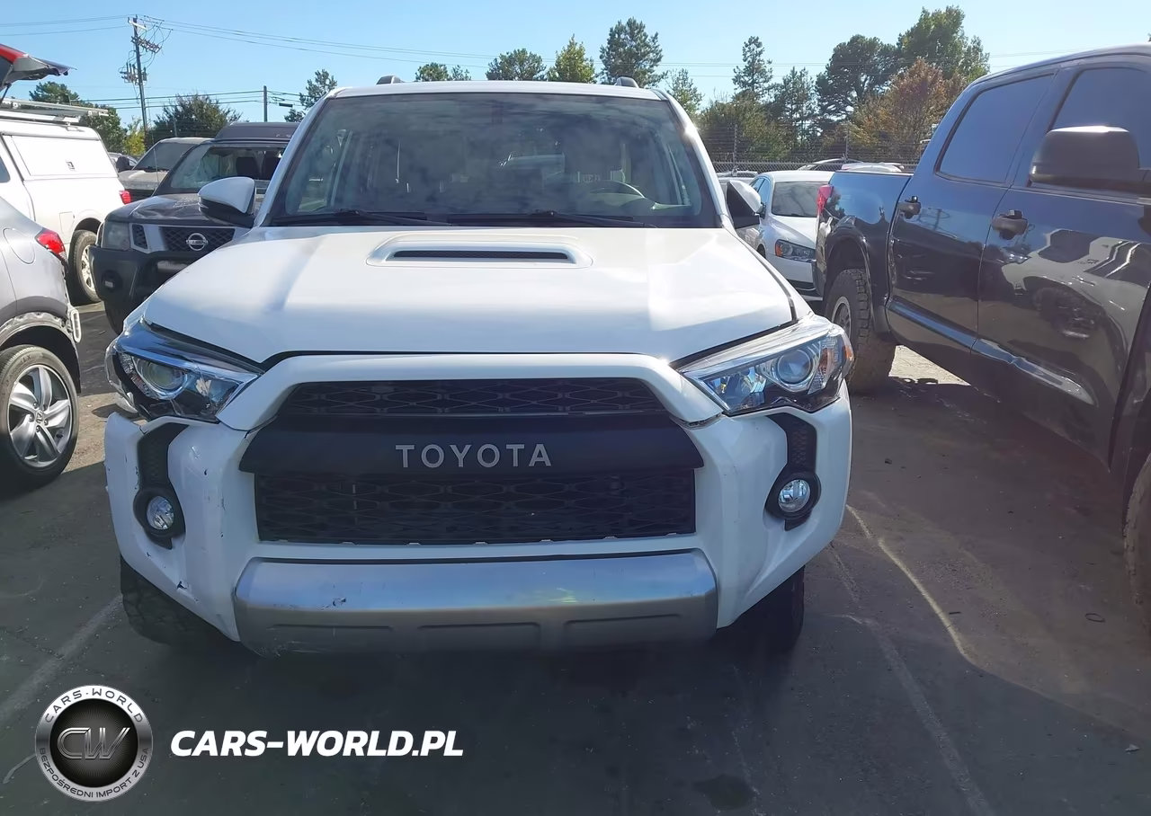 2019 Toyota 4Runner Trd Off Road Premium VIN:JTEBU5JR4K5705909 - 12