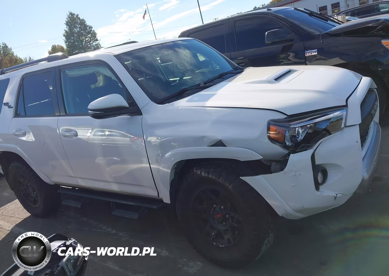 2019 Toyota 4Runner Trd Off Road Premium VIN:JTEBU5JR4K5705909 - 13