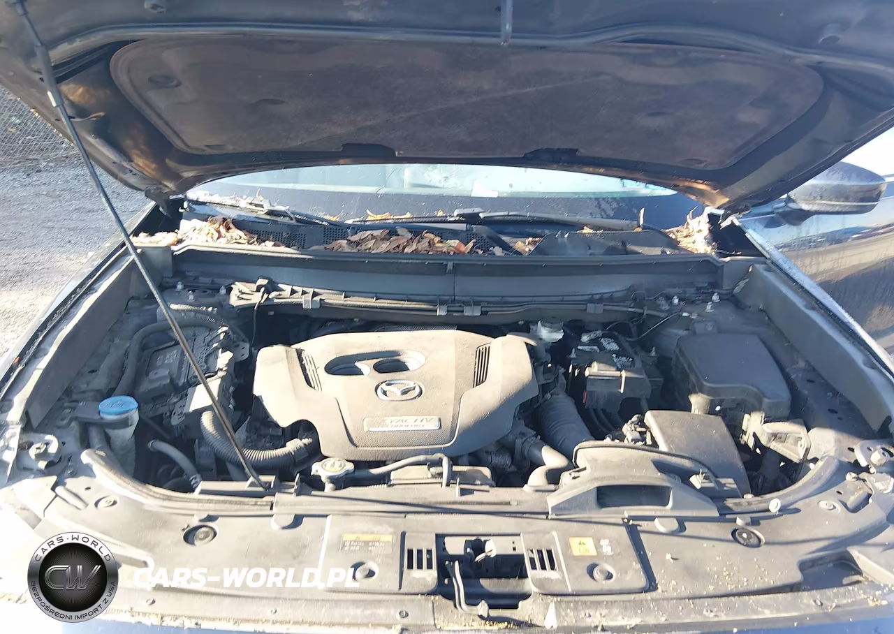 2018 Mazda Cx-9 Touring VIN:JM3TCBCY1J0218216 - 10