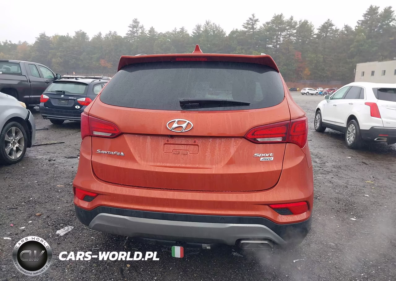 2017 Hyundai Santa Fe Sport 2.4L VIN:5XYZUDLB0HG498612 - 16