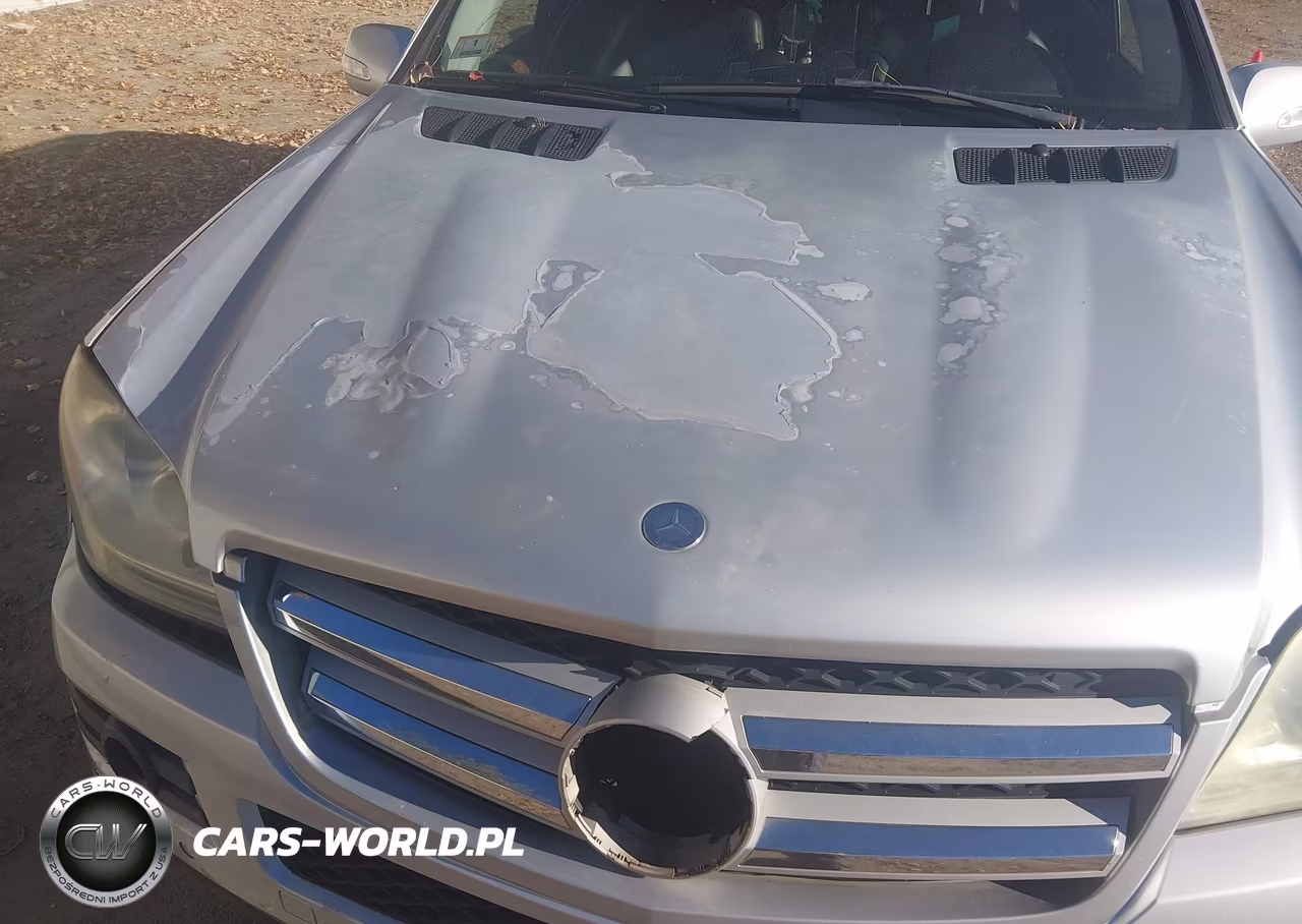 2007 Mercedes-Benz Gl 450 4Matic VIN:4JGBF71E97A136671 - 6