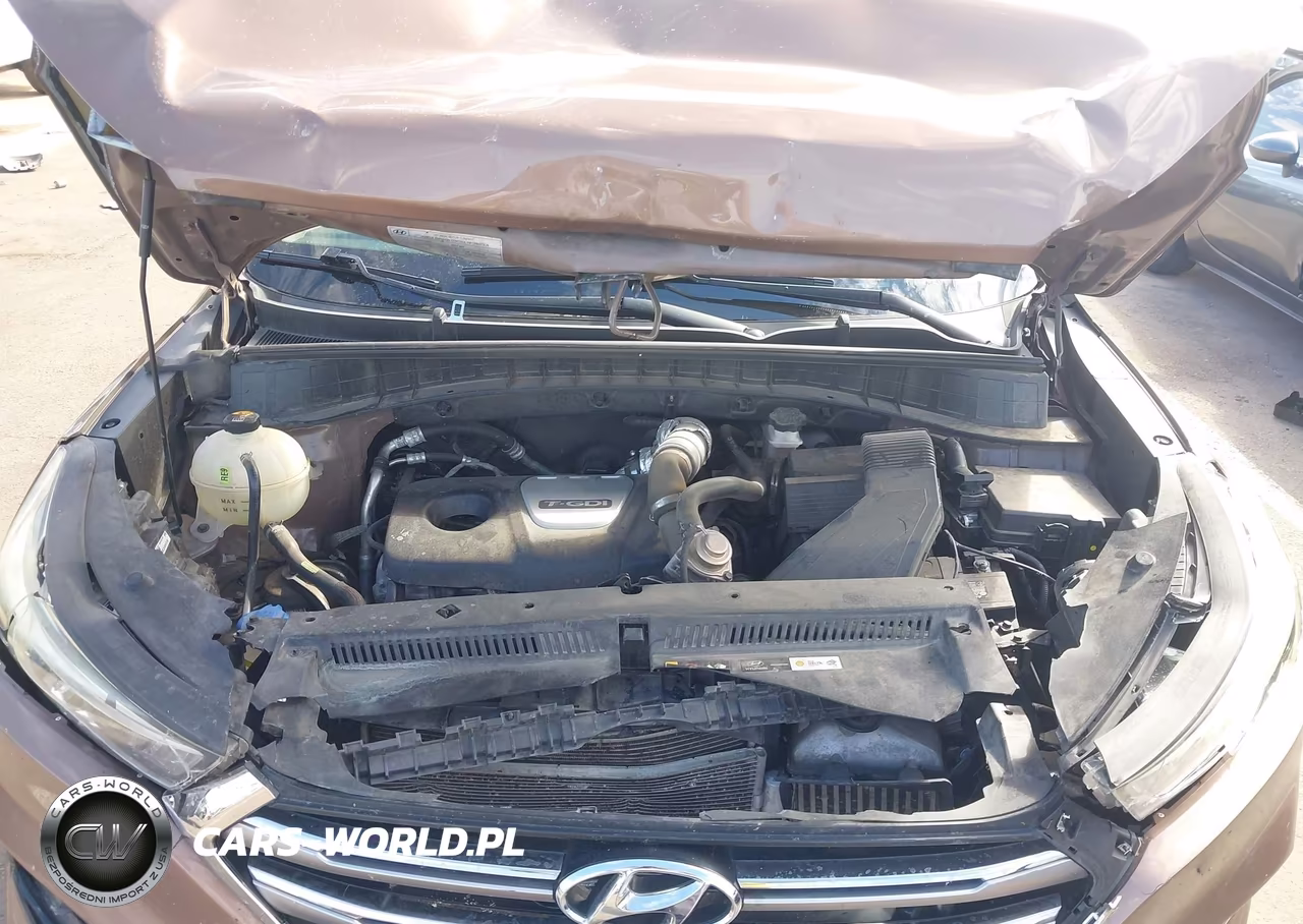 2017 Hyundai Tucson Limited VIN:KM8J33A24HU343889 - 10